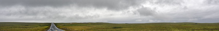 Terre-Neuve 2017, 2022