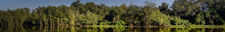 Sur la piste du Mississippi